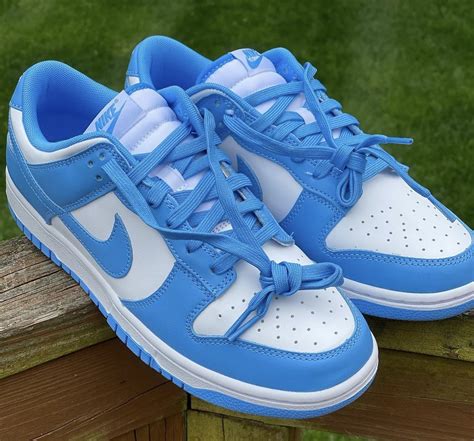 Nike dunk blue sneaker